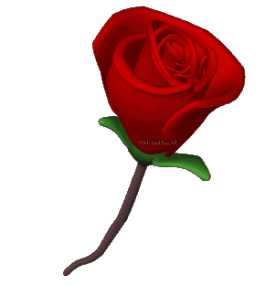For all my friends: Happy Valentines Day!