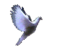  Lysannes website 